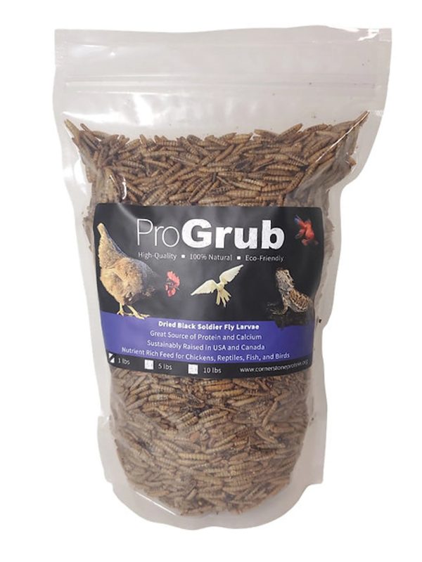 Dried Black Soldier Fly Larvae For Sale