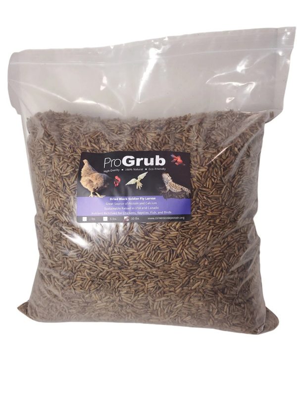 Dried Black Soldier Fly Larvae For Sale