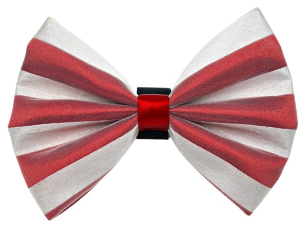 PR3006X|Pets Ribbons Fashion