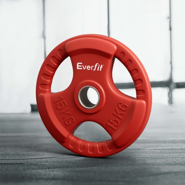 Everfit Weight Plates Standard 15kg Dumbbell Barbell Plate Weight Lifting Home Gym Red Supply