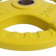 Everfit Weight Plates Standard 20kg Dumbbell Barbell Plate Weight Lifting Home Gym Yellow Cheap