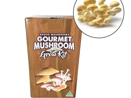 Yellow Oyster Mushroom Grow Kit | Aussie Mushrooms Online Sale