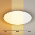 Leier Ceiling Light LED Round 46W Ultra-THIN 5CM Oyster Lamp Modern Cool Warm Sale