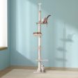 i.Pet Cat Tree 290cm Tower Scratching Cats Post Scratcher Floor to Ceiling Bed Hot on Sale