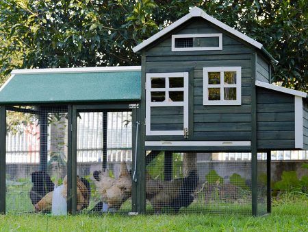 XL Chicken Coop Rabbit Hutch | Guinea Pig & Ferret House Fashion