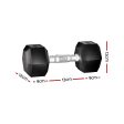 Everfit 20kg Hex Dumbbells Set Dumbbells Weights Lifting Bench Gym Workout 2x10kg Discount