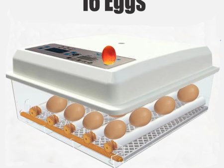 16-Egg Incubator | Fully Automatic Digital Thermostat for Chicken Eggs & Poultry Online