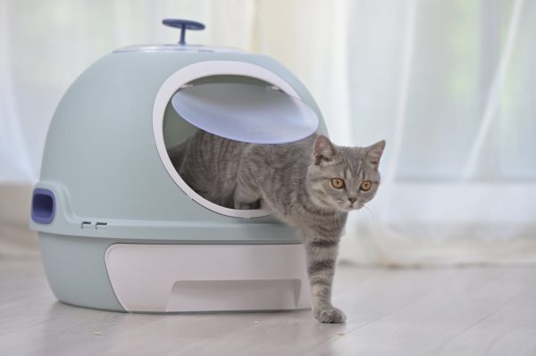 Hooded Cat Toilet Litter Box Tray House | With Drawer & Scoop, Blue Supply