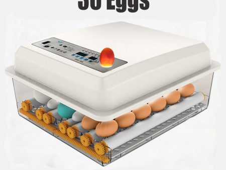 36 Egg Incubator Fully Automatic | Digital Thermostat Chicken Eggs Poultry Online Sale